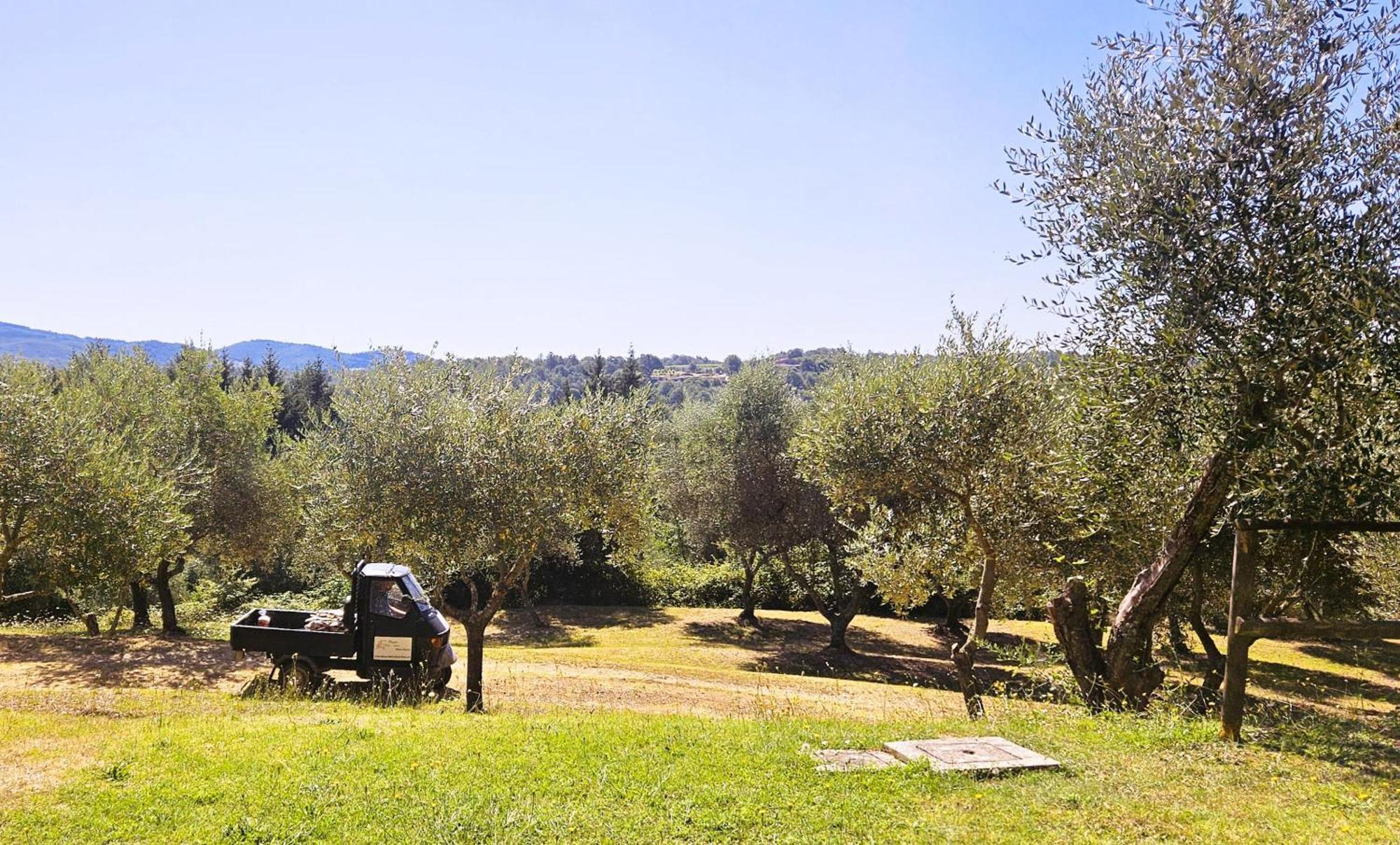 Pian Della Bandina Apartment Citta della Pieve Luaran gambar